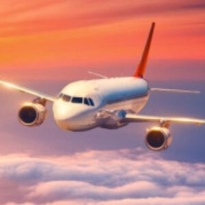 Profile photo of Noah